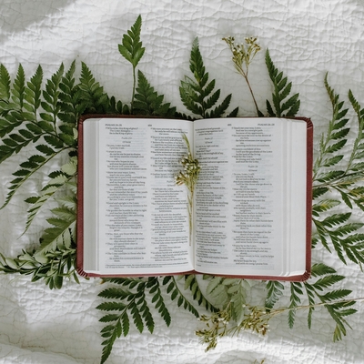 image - Lecteurs, lectrices et auxiliaires de communion de Saint-Pierre