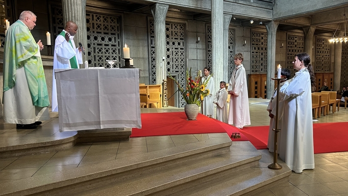 image - Servants de messe du Christ-Roi